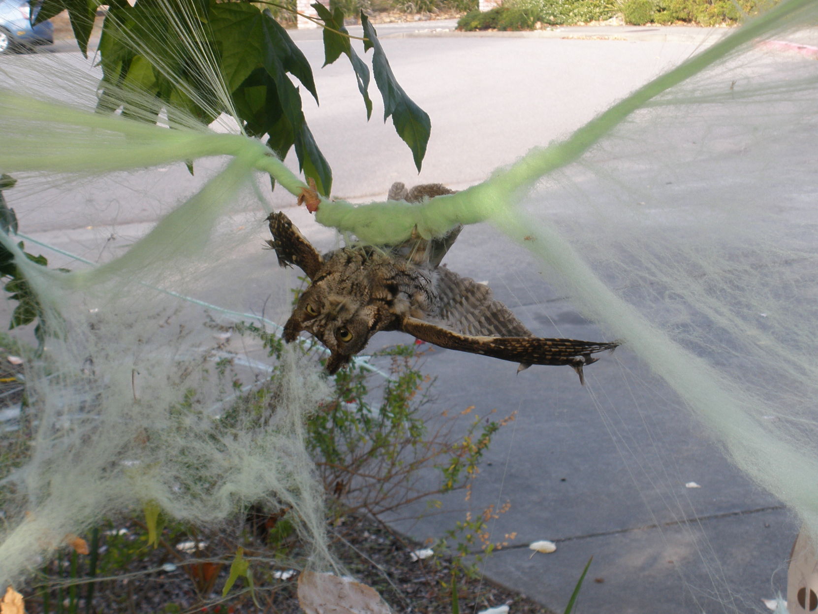 Homes Halloween Decor Dangers